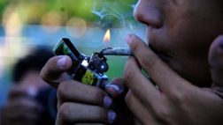 Think Pot is Harmless or Not Addictive?