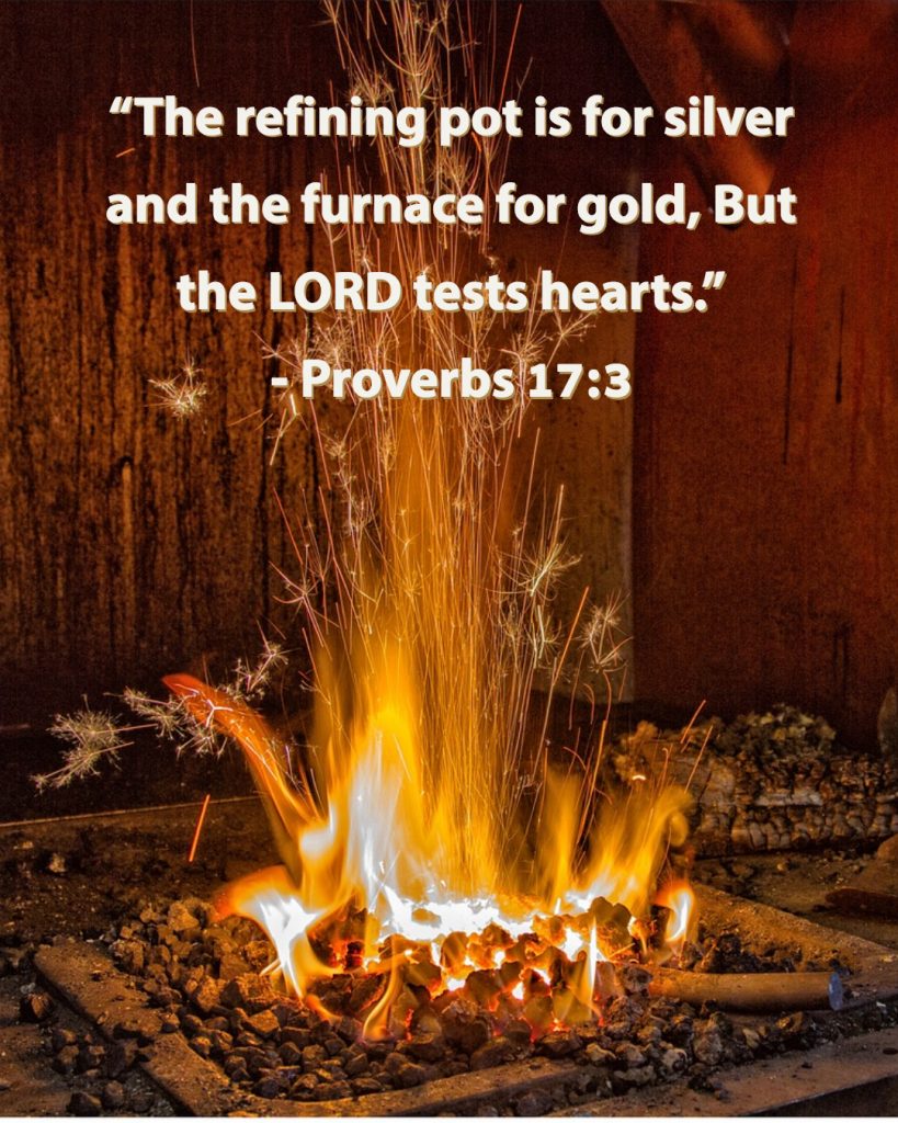 Wisdom Of The Day From Proverbs 17